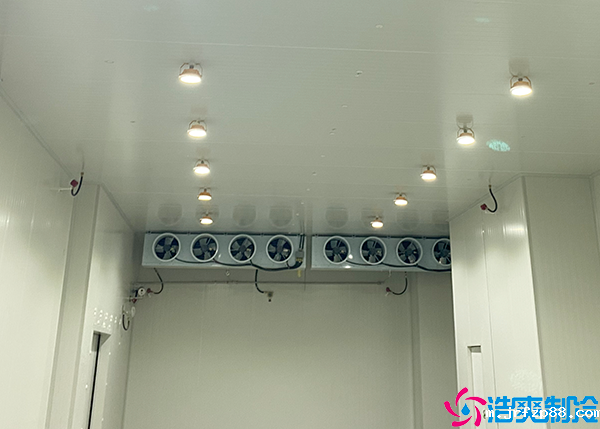 开云体育最新下载软件