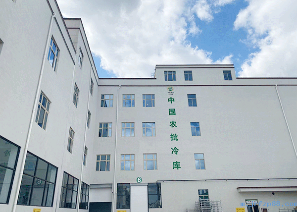 蔬菜保鲜冷库造价.png