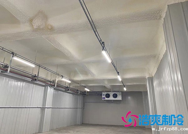 湖北葡萄气调保鲜冷库建造厂家.jpg