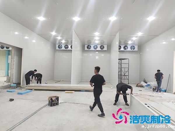 开云体育最新下载软件建造