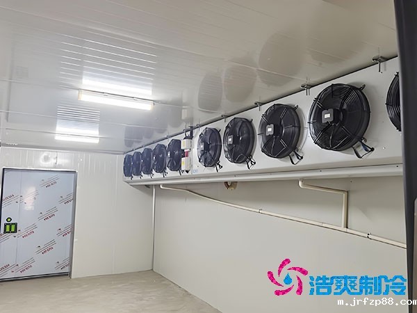 建造500平方米梨子保鲜冷库的费用是多少?-浩爽制冷