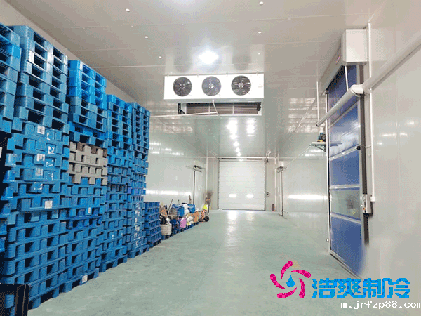 建造一个500平方米超市果蔬冷库造价费用大概多少钱?