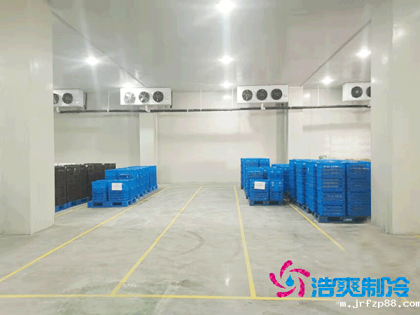 加工厂冷库安装造价成本大概多少钱？