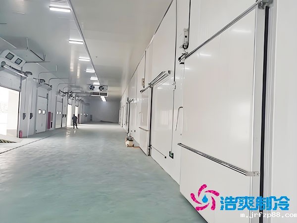 500吨容量冷库造价