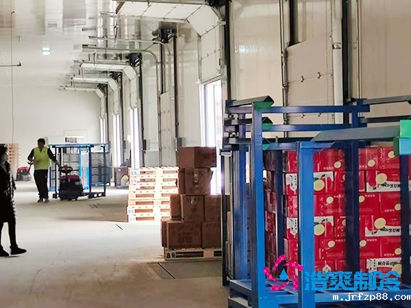 1000吨保鲜冷库造价