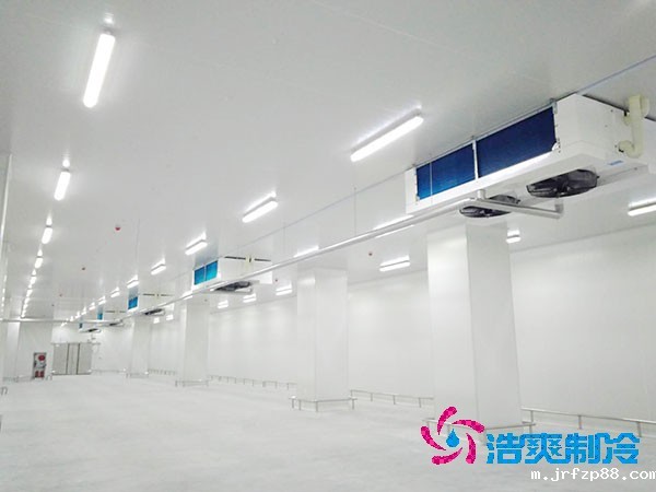 5000吨大型冷库造价