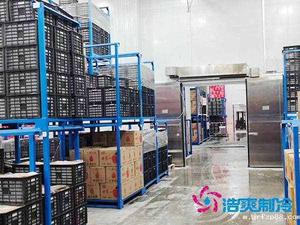生鲜冷链物流冷库建造价格