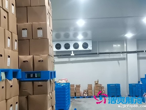 建造鱼糜制品低温冷库的费用及其重要性
