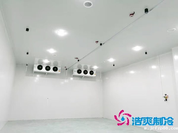 冷库造价揭秘：300平方米到底要花多少钱？-浩爽制冷