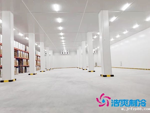 建设2000平方米大型开云体育最新下载软件（冷冻仓库）的造价大概多少钱？