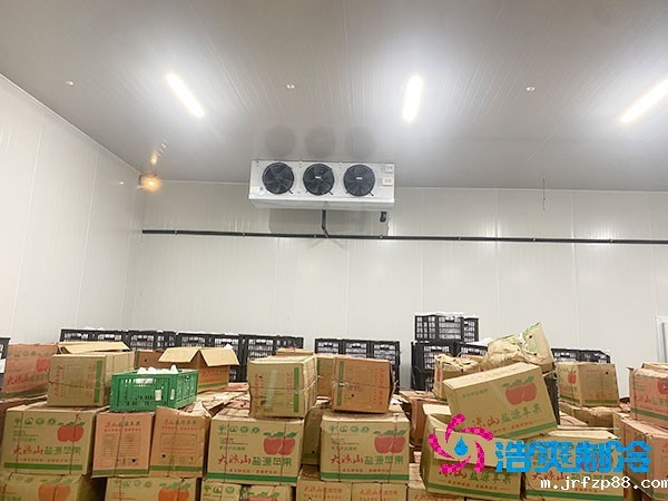 水果保鲜冷库造价每平米多少钱?-浩爽制冷