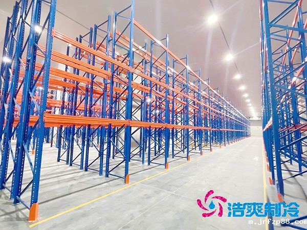 1000吨物流低温冷藏库设计建造费用