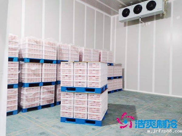 水果店冷库存储保鲜方法,水果保鲜冷库造价成本