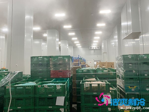 开云体育最新下载软件造价