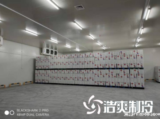 安徽洽洽49500m³食品加工冷库建造