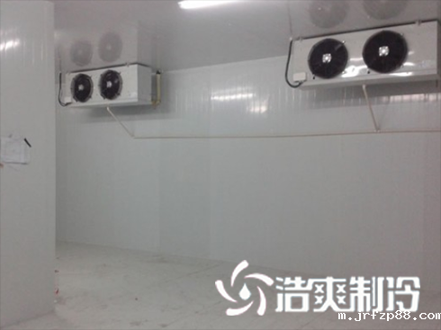 浙江绍兴养乐多乳制品冷库建造安装