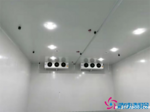 上海巴洛美巧克力开云体育最新下载软件建造设计