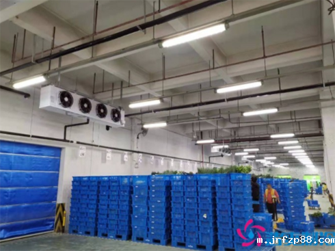 叮咚买菜17000m³生鲜电商冷库建造 叮咚买菜17000m³生鲜电商冷库建造