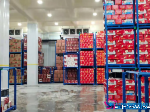 武汉鑫葡果品50000m³低温冷冻库建造